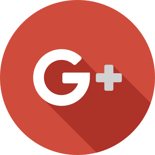Google icon
